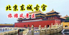 欧美日逼视频免费下载中国北京-东城古宫旅游风景区