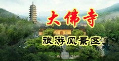 免费黄色操鸡巴逼网站中国浙江-新昌大佛寺旅游风景区